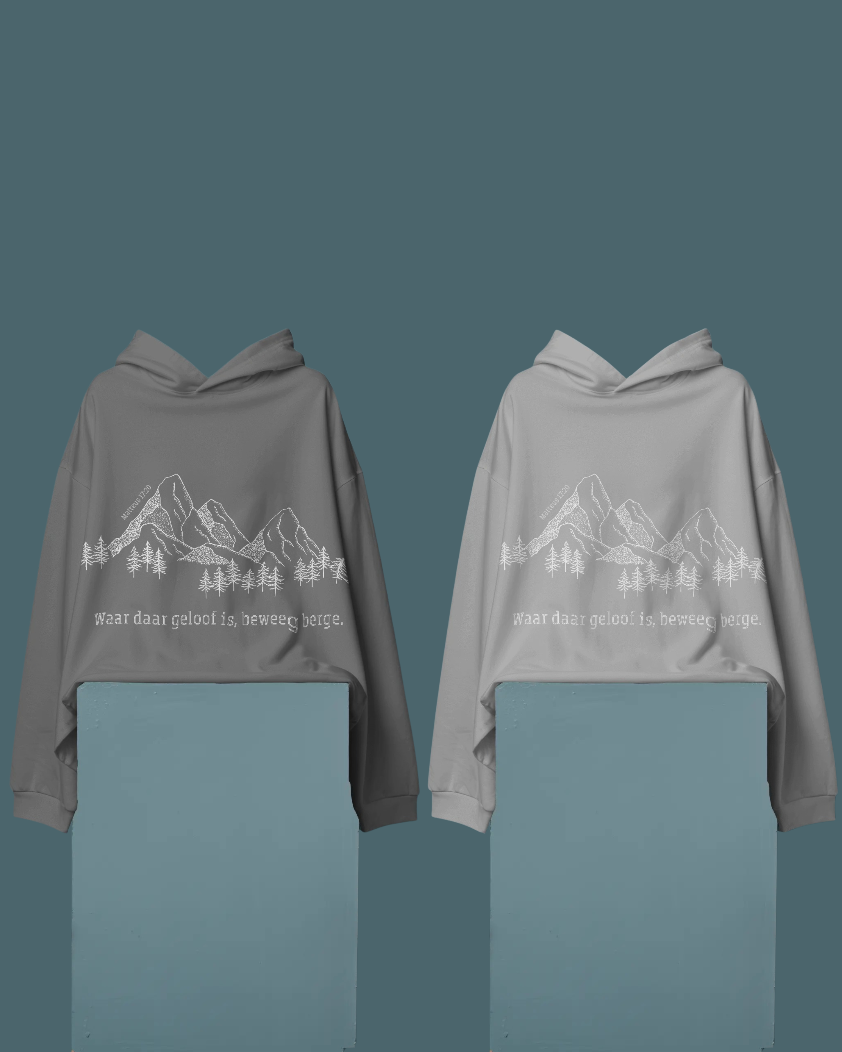 Unisex Matteus 17v20 Basic Standard Hoodie